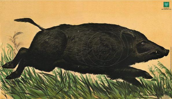 DJV JAGDSCHEIBE NR.7 UEBERLF.