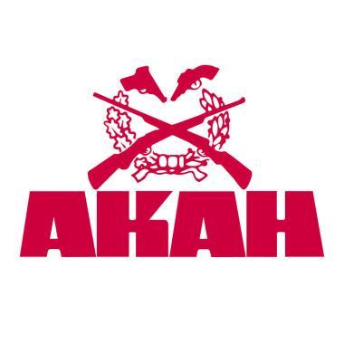 SCHWEISSEINLAGE       50X60 CM