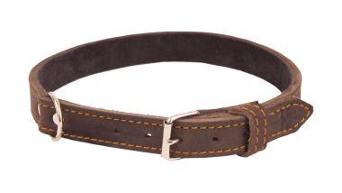 Kutya nyakörv olaj-bőr  55 cm