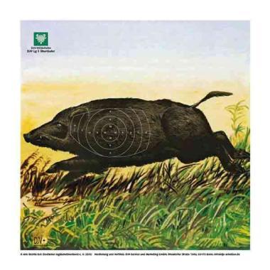 Lölap légfegyverhez álló vaddisznó  DJV 14x14  A 100